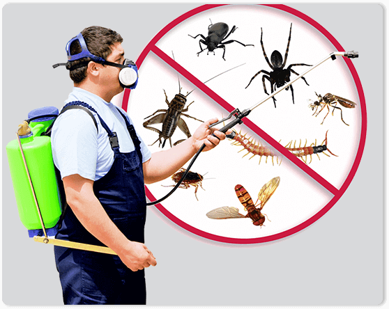 Pest Control SEO services