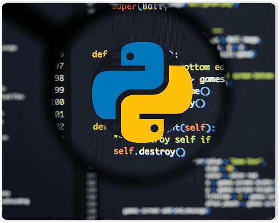 Python Development Services India